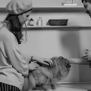 A veterinary technician checking on a hospitalized dog overnight